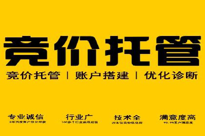 深度解析SEM推广代运营的成功案例及策略